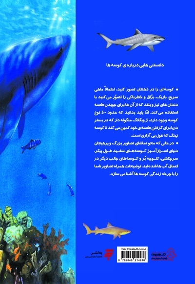 دانستنی هایی درباره کوسه ها